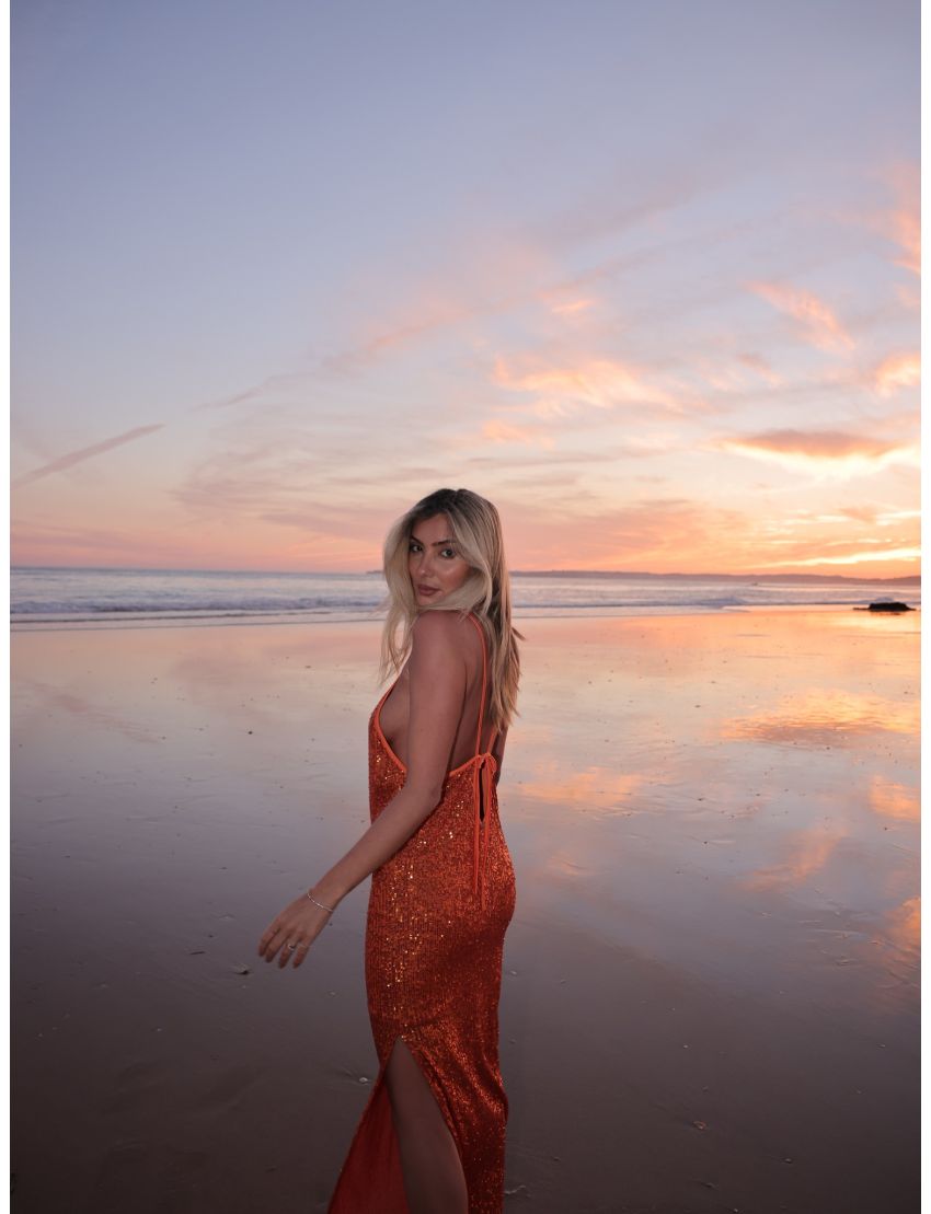 VESTIDO SWALLOW 3820 LARA