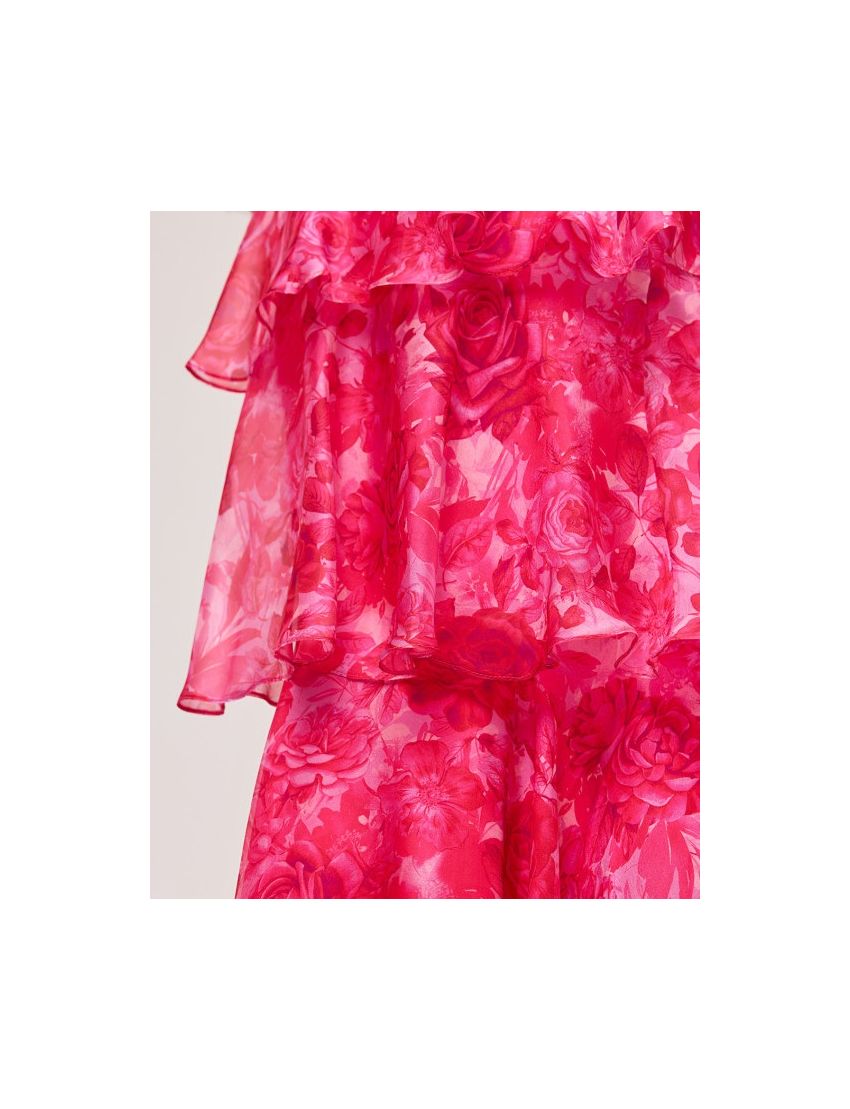 SAIA LONGA ACCESS 6009 CA